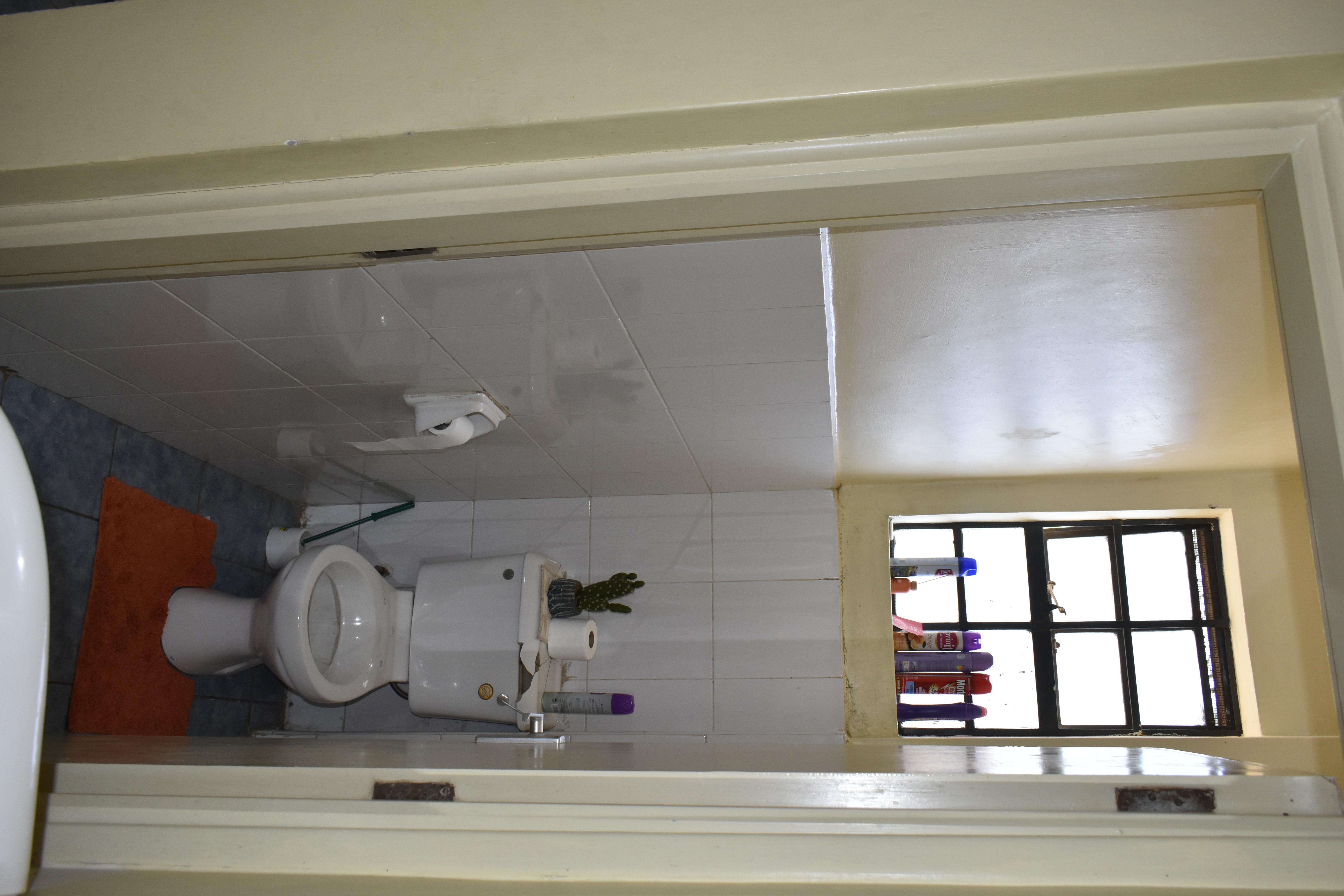 Hygienic toilet area